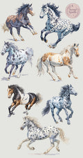 Painted Hearts Sticker Sheet (Appaloosa Horses)