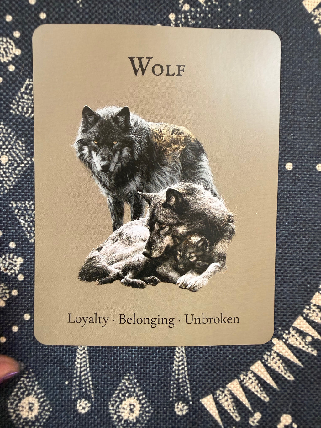 The Wolf — Shadow Guardians Collection | Clear Sticker Sheet & Card