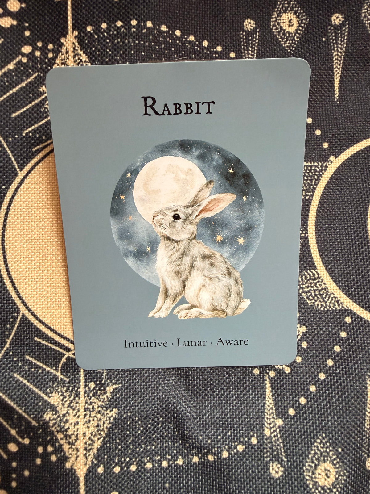 The Rabbit — Shadow Guardians Collection | Clear Sticker Sheet & Card