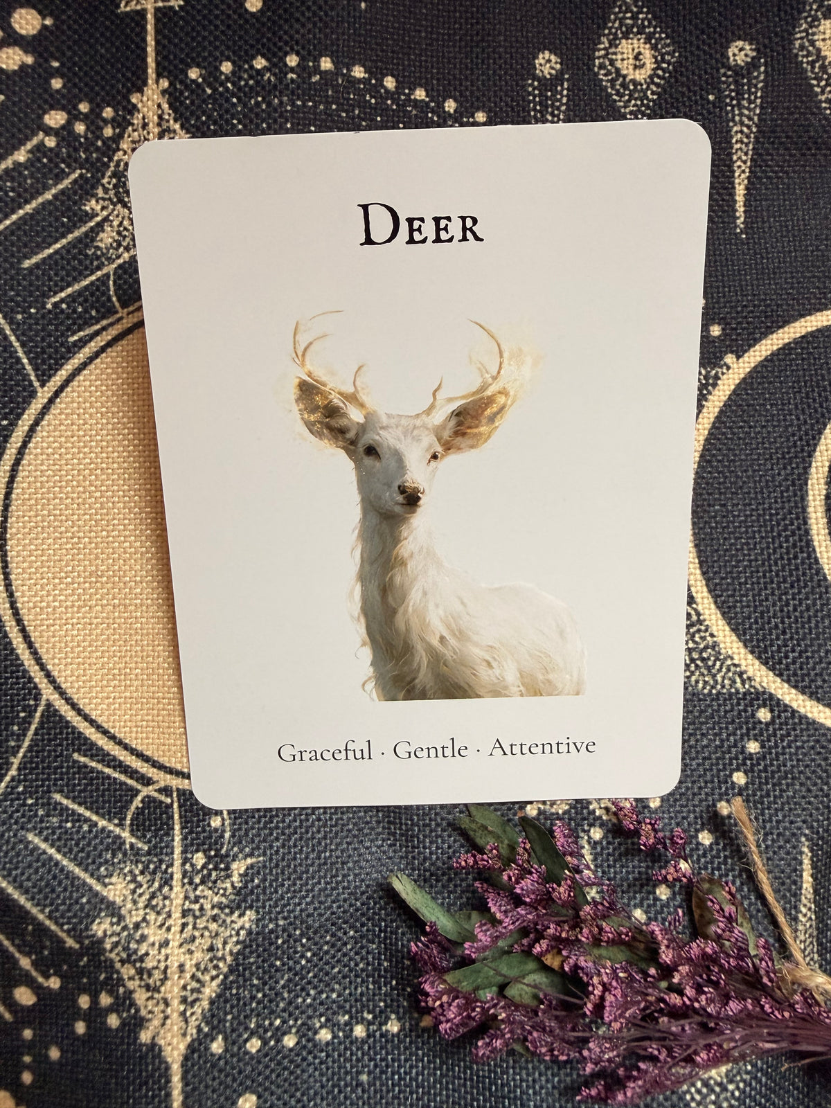 The Deer — Shadow Guardians Collection | Clear Sticker Sheet & Card