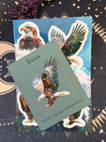 The Eagle — Sky Guardians Collection | Clear Sticker Sheet & Card