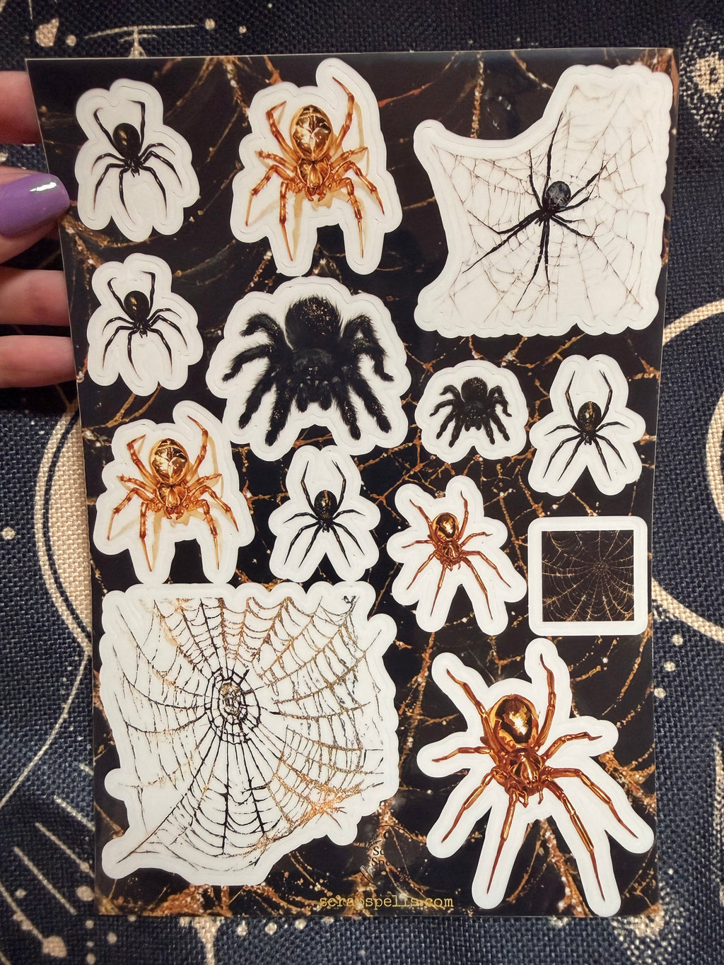 The Spider — Shadow Guardians Collection | Clear Sticker Sheet & Card
