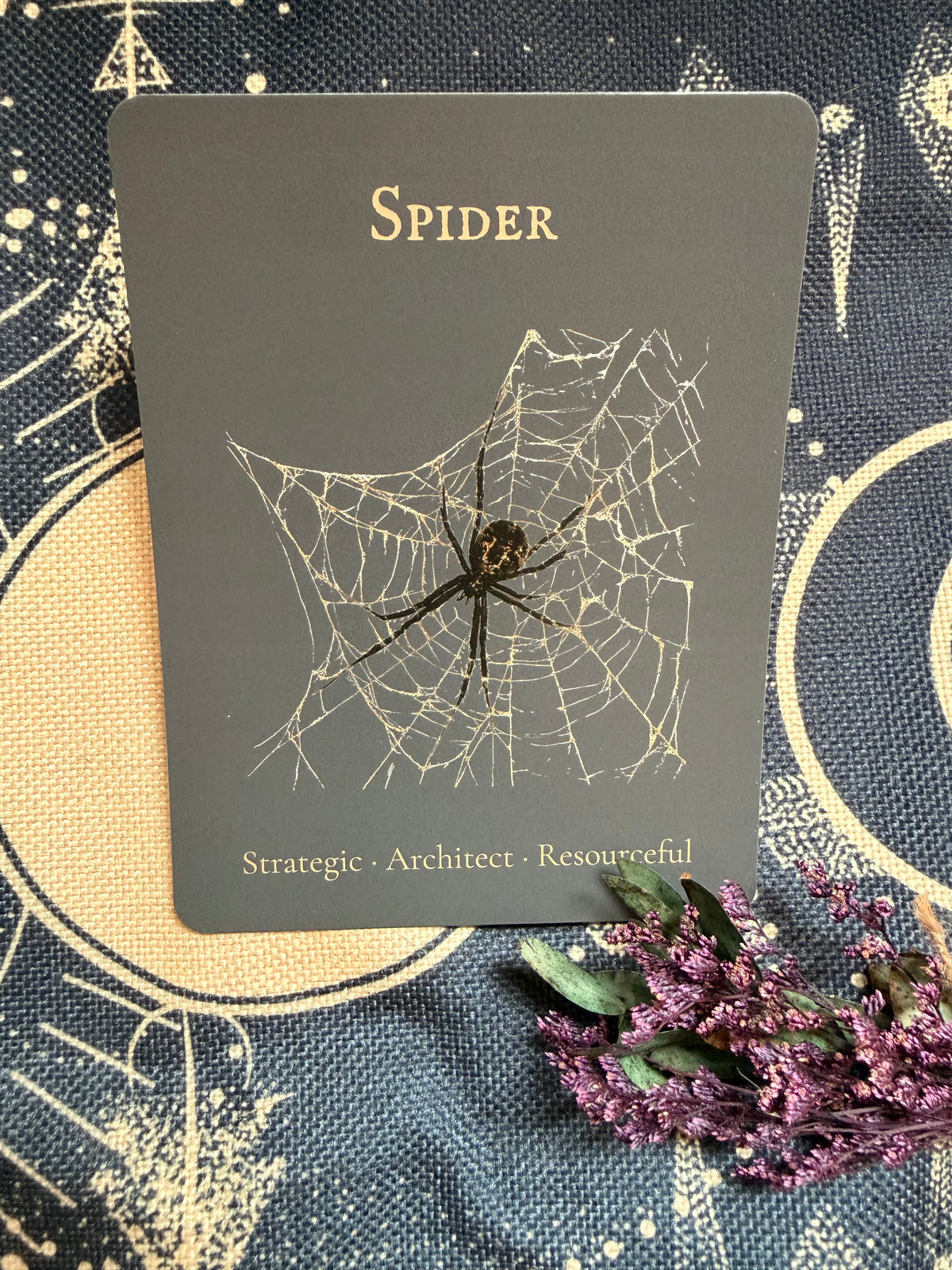 The Spider — Shadow Guardians Collection | Clear Sticker Sheet & Card