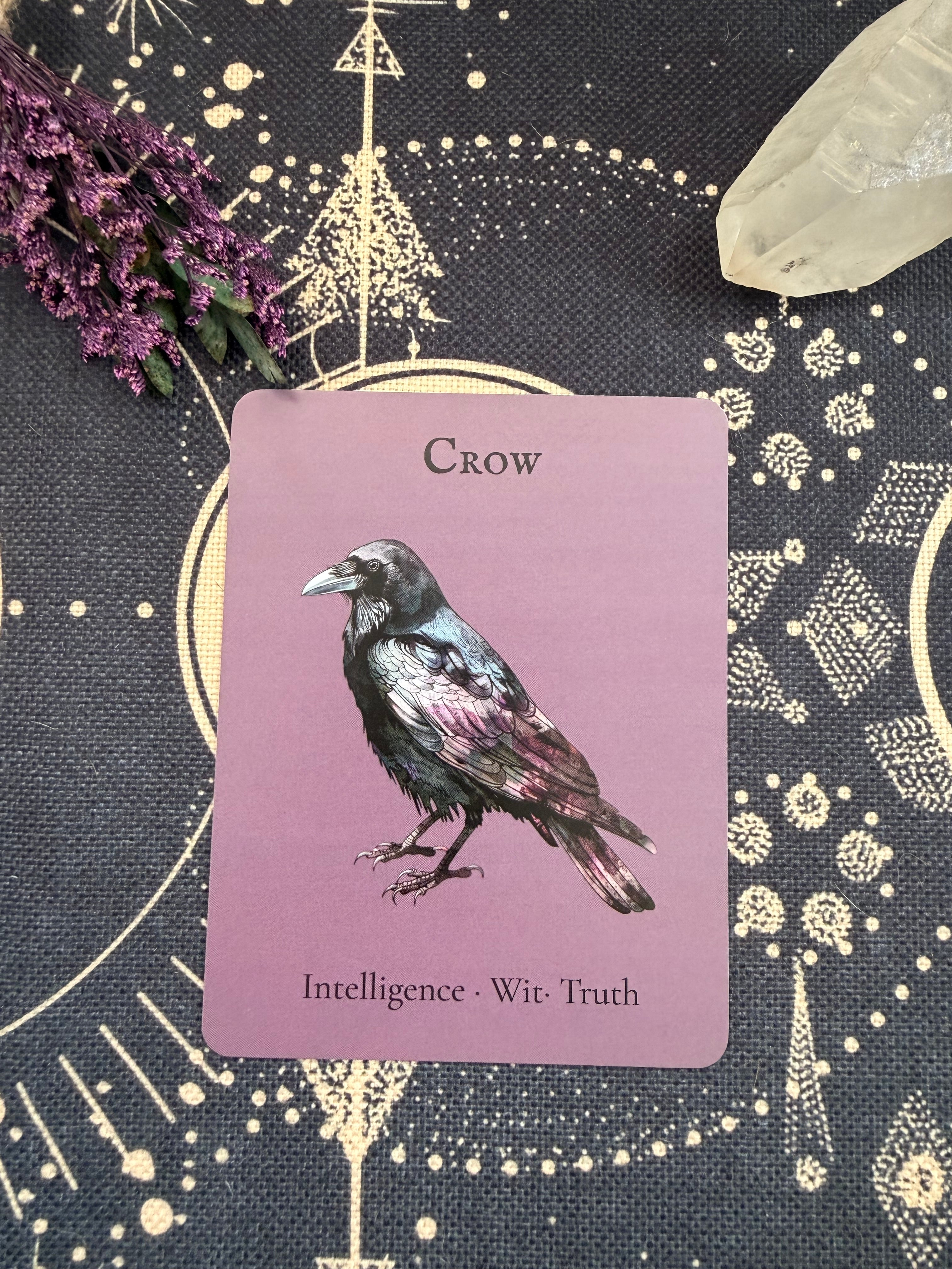 The Crow — Sky Guardians Collection | Clear Sticker Sheet & Card
