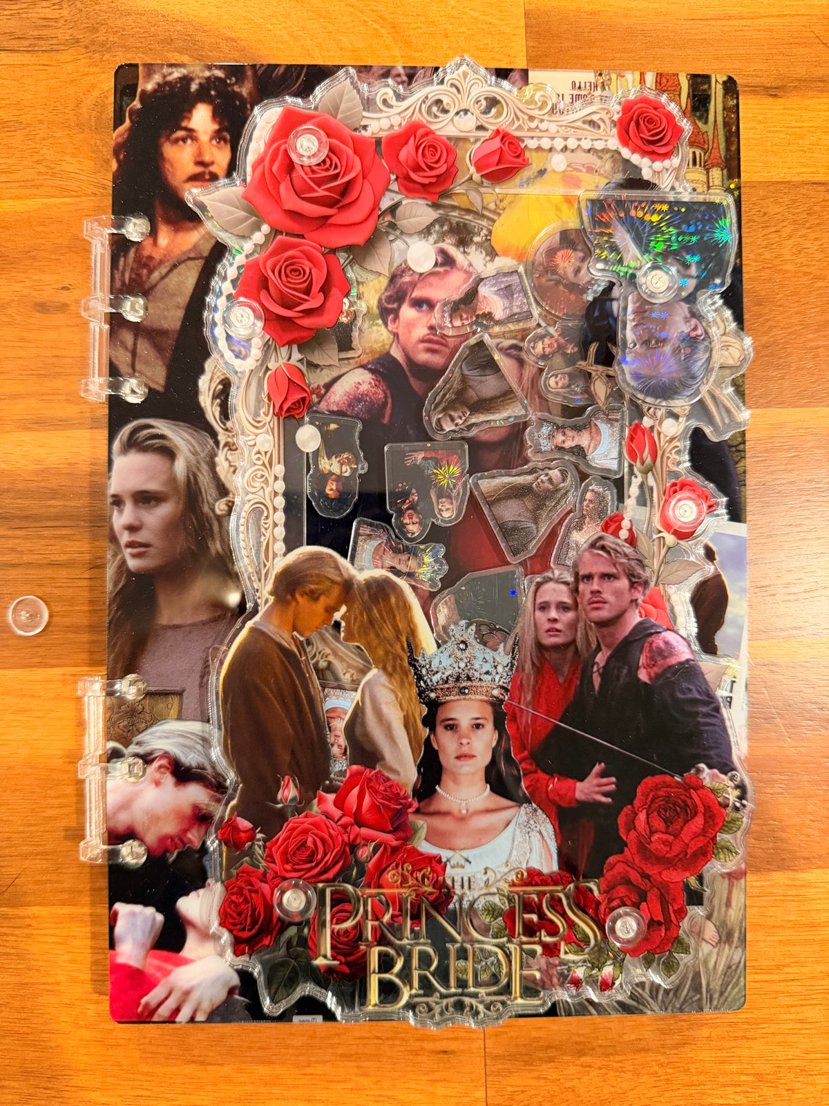 Princess Bride A5 Shaker Journal