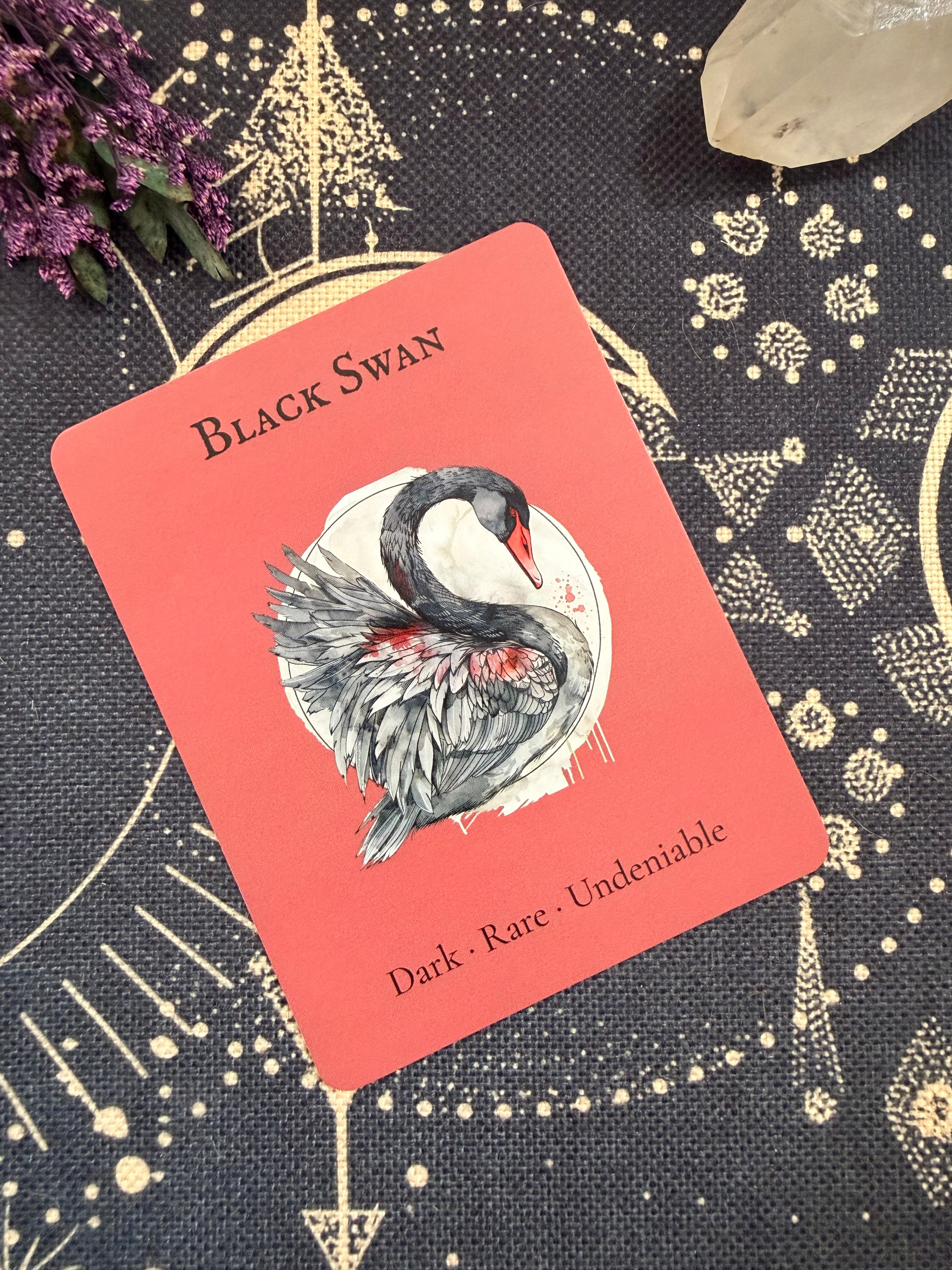 The Black Swan — Sky Guardians Collection | Clear Sticker Sheet & Card