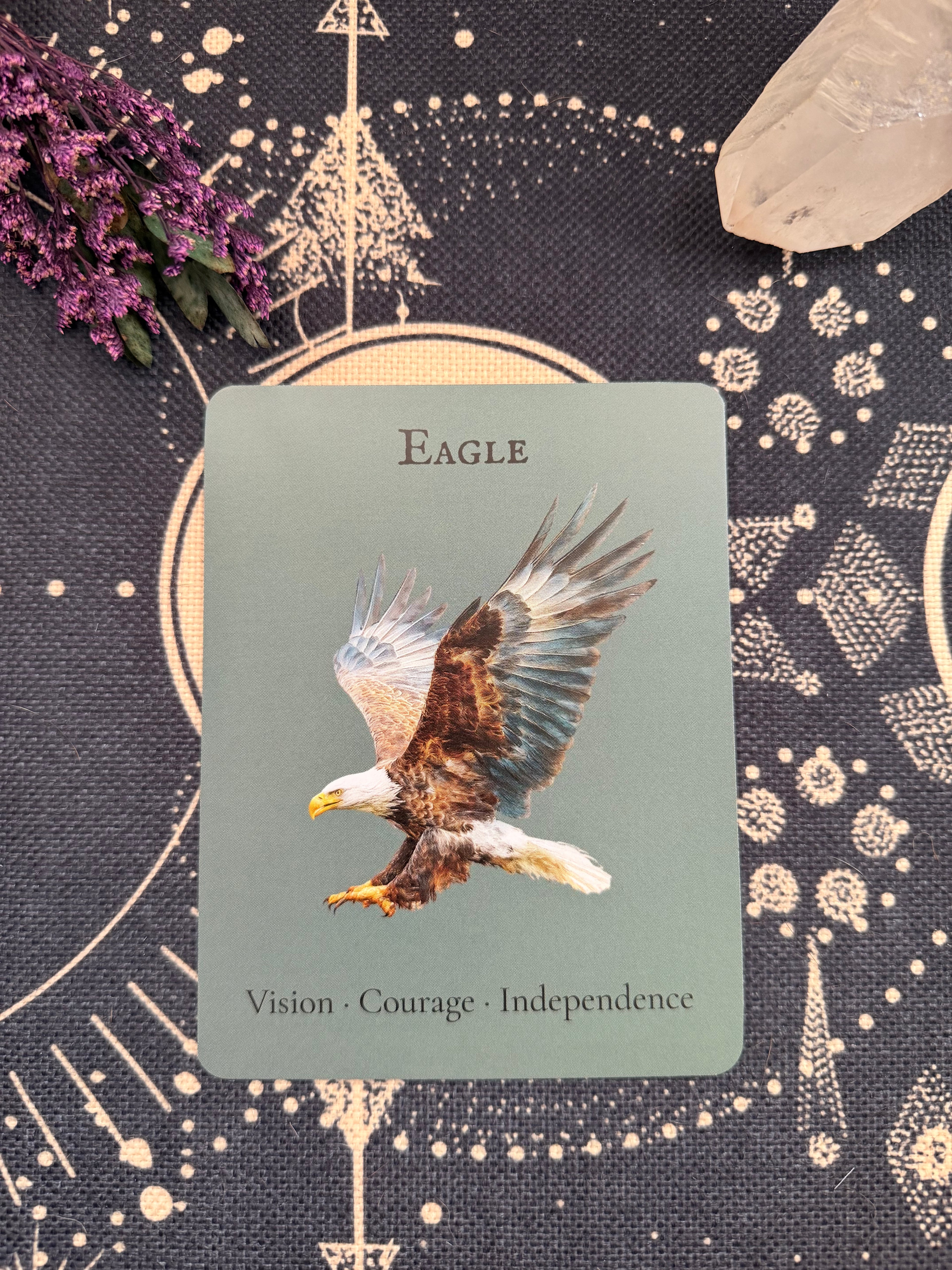 The Eagle — Sky Guardians Collection | Clear Sticker Sheet & Card