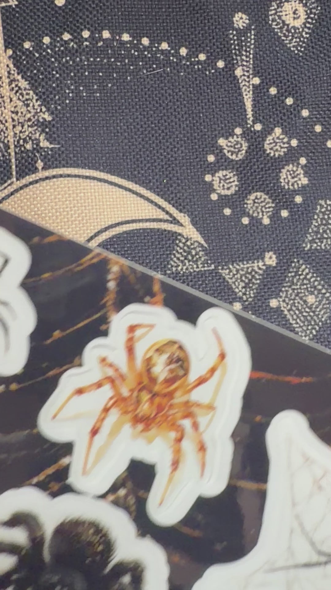 The Spider — Shadow Guardians Collection | Clear Sticker Sheet & Card