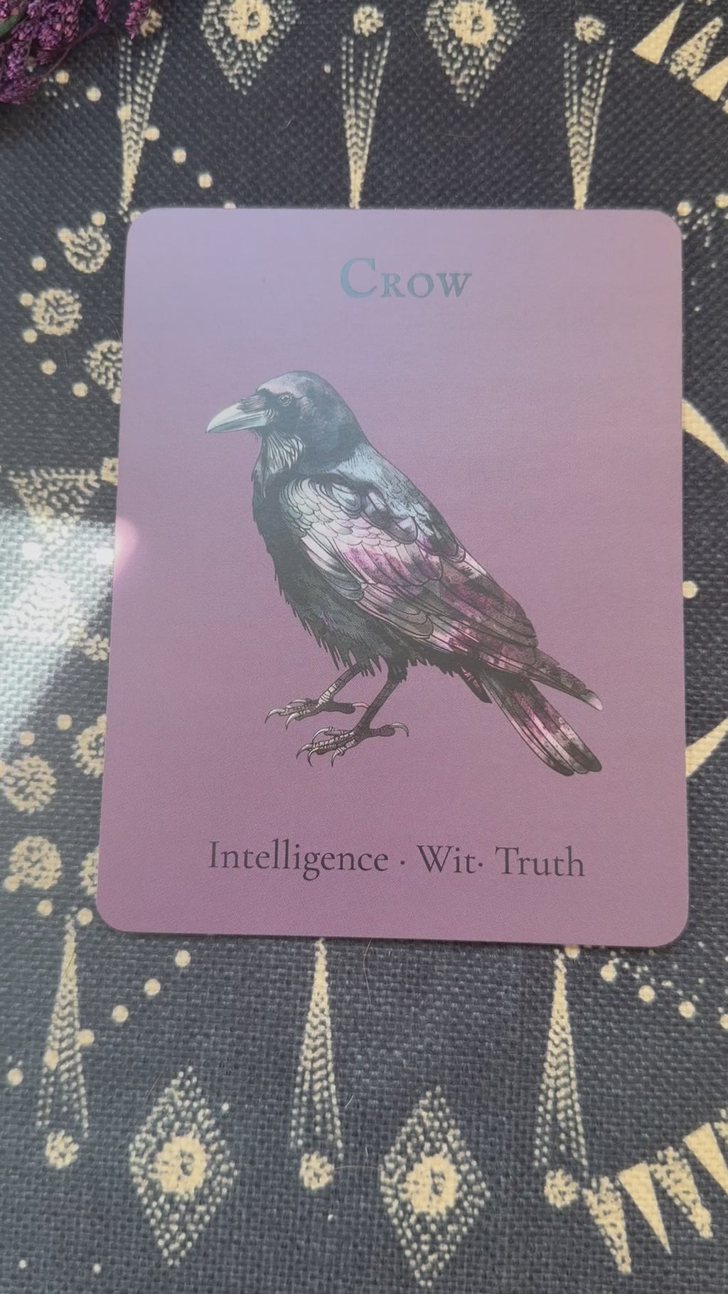 The Crow — Sky Guardians Collection | Clear Sticker Sheet & Card