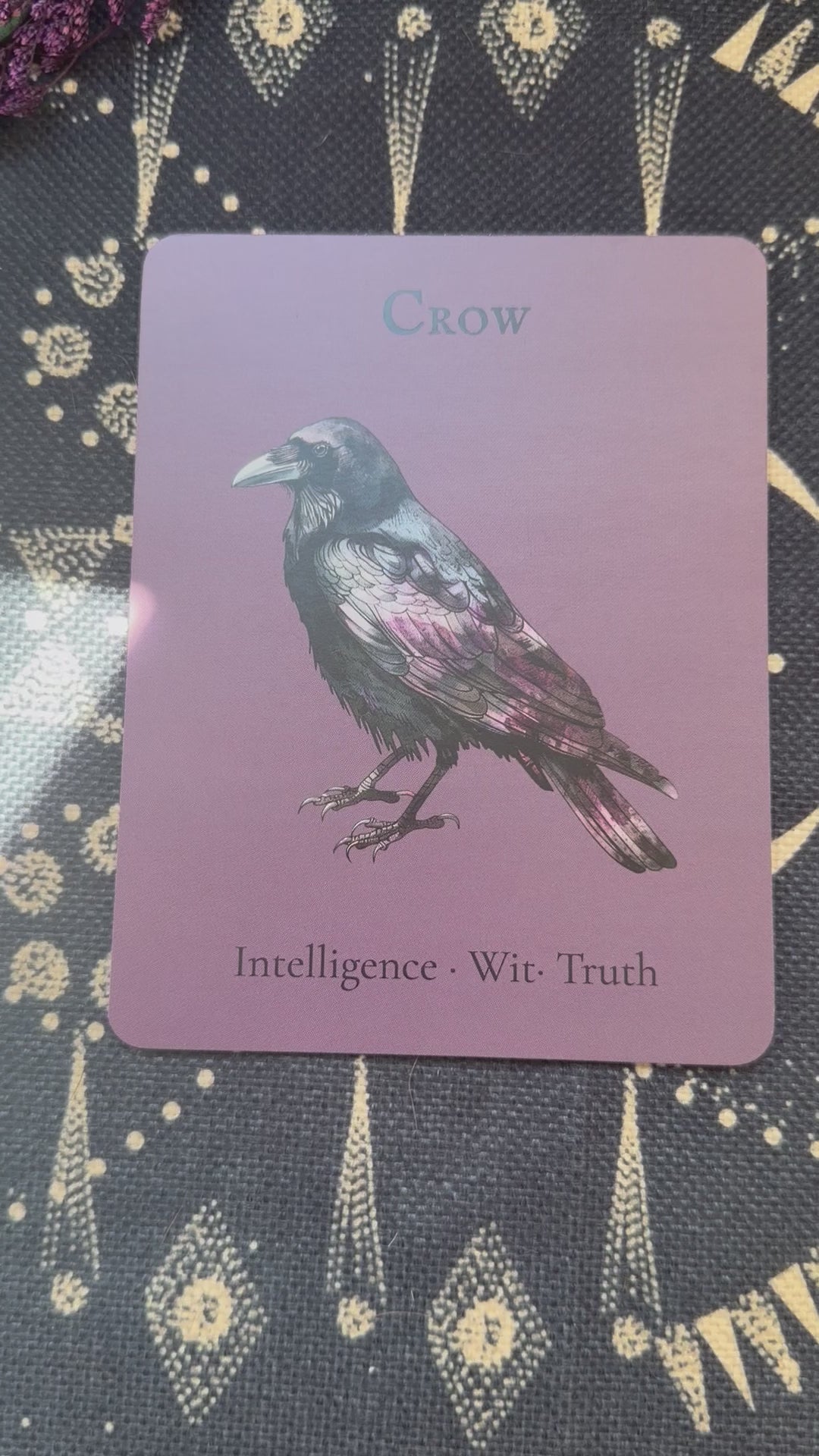 The Crow — Sky Guardians Collection | Clear Sticker Sheet & Card