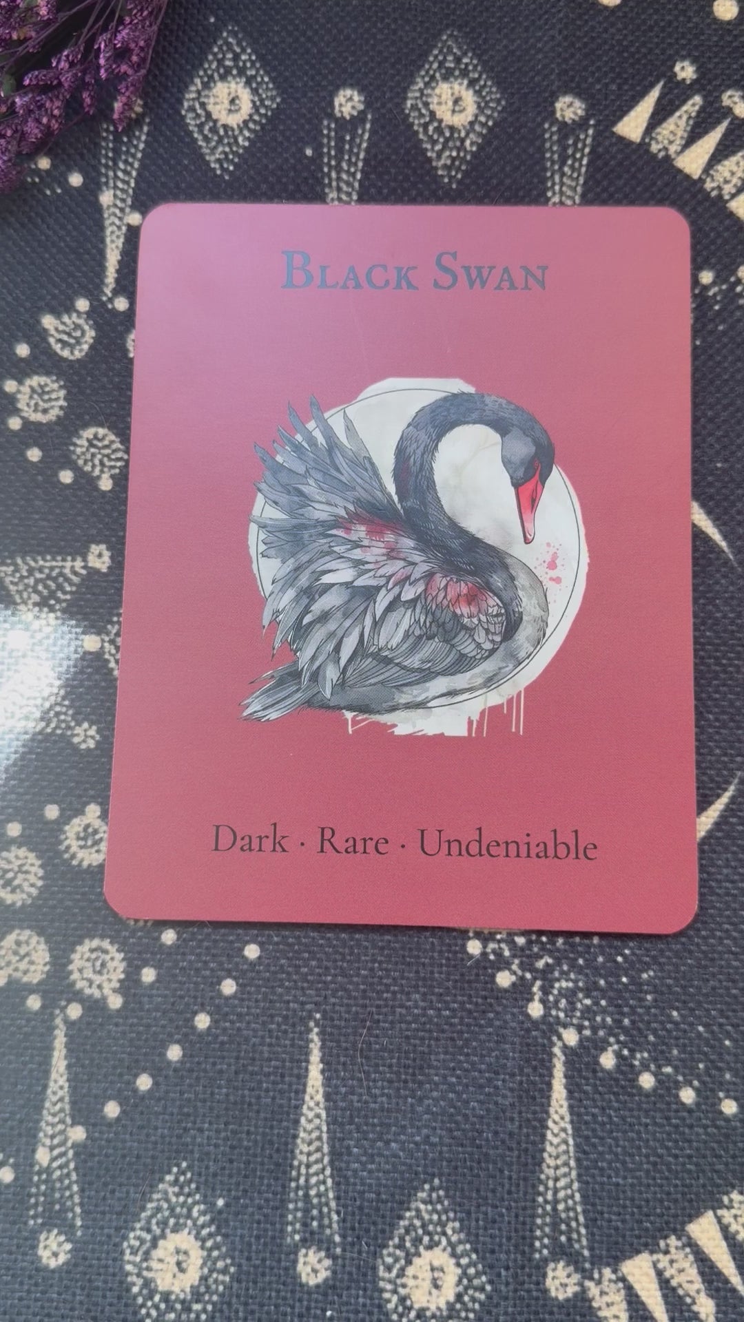 The Black Swan — Sky Guardians Collection | Clear Sticker Sheet & Card